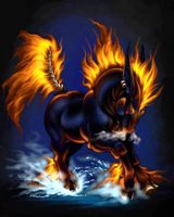 Лошадь Лошадь