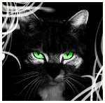 Администрация